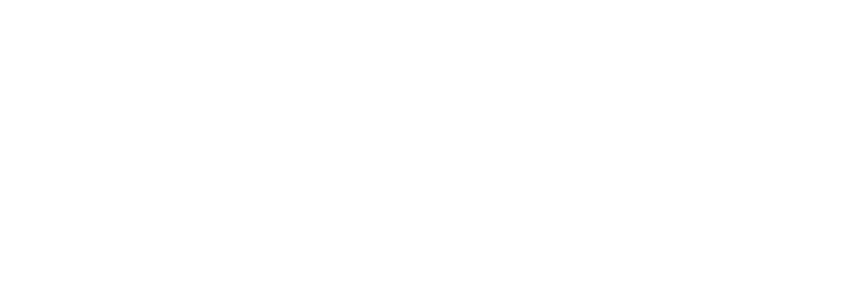 Inter The Opus